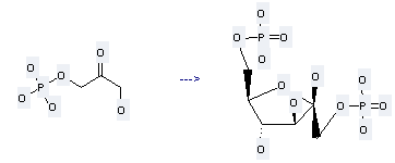 2-Propanone,1-hydroxy-3-(phosphonooxy)- can be used to produce O1,O6-diphosphono-D-fructose at the room temperature